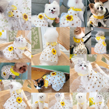 Cute Bow Lace Summer Outfit for Small Dogs