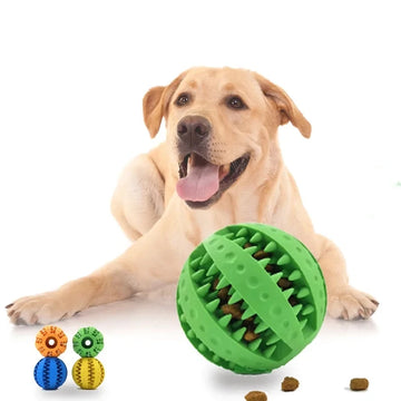 Interactive Rubber Dog Ball Durable Dental Chew & Fetch Toy