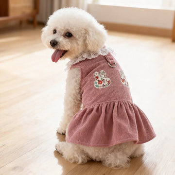 Cute Chest & Back Outfit for Small Dogs