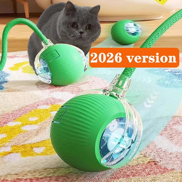 Smart Automatic Rolling Cat Ball Toy