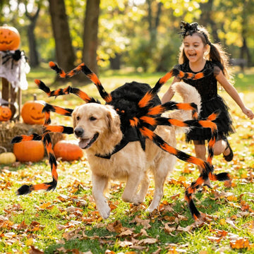 LED Glowing Spider Costume for Pets – Purple Light
