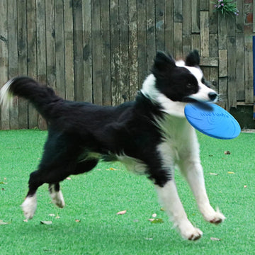 TPR Flying Disc Dog Toy Durable Interactive Fetch Toy