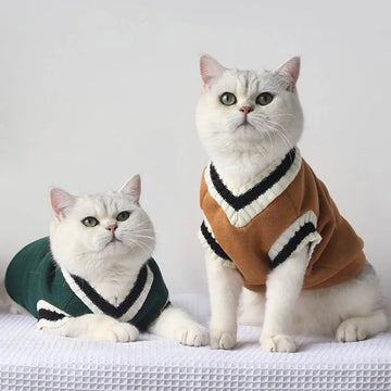 Winter Cat Sweater Pullover