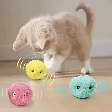 Electric Catnip Ball Toy for Cats